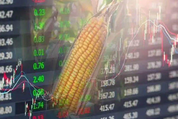 玉米期货迎来单月合约史上最大交割量，达到121万吨