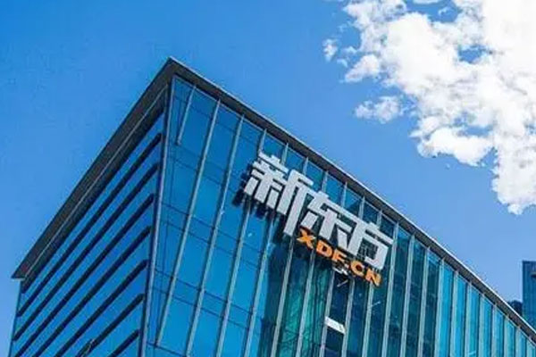 港股新东方在线高开高走，股价涨超100%