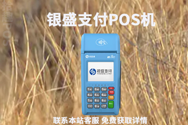 银盛支付是一清机吗？刷卡2万元要扣多少手续费