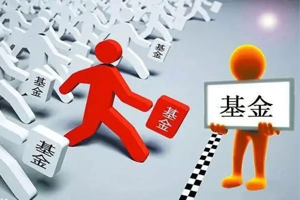2023年A股迎来反弹行情，绩优均衡基金关注度在提升