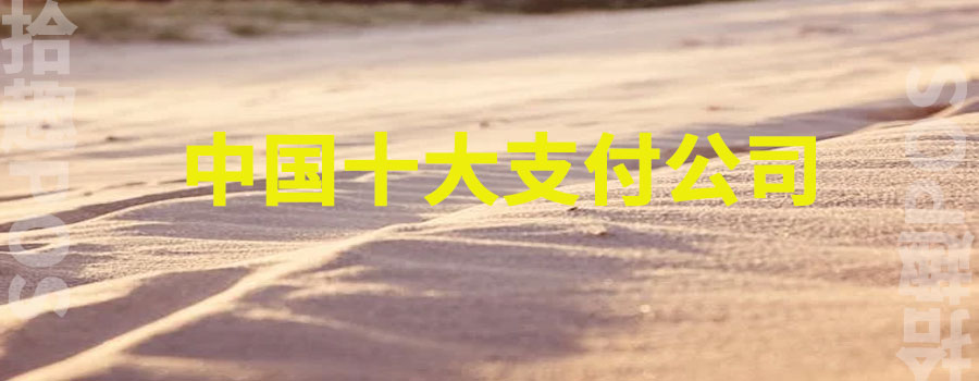 中国十大支付公司排名，排名前十公司有哪些