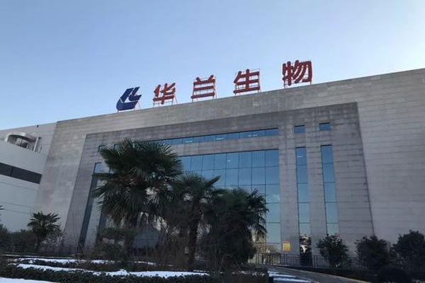 多只医药股涨停并创下股价新高，华兰生物市值已达875亿元
