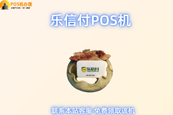 乐信付现在不能用了吗？有没有什么靠谱的pos机替换