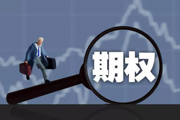 美股市场散户使用期权和抱团，GME股价涨至483美元刷新历史新高