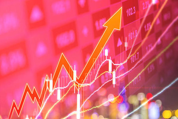 龙头股中国中免一度涨超7%，16家上市银行全年净利均实现增长