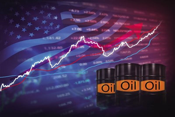 198只QDII基金实现了正收益，3只QDII基金净值增长率超过了60%