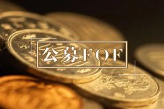 基金二季报出炉，公募FOF规模合计1343.65亿元