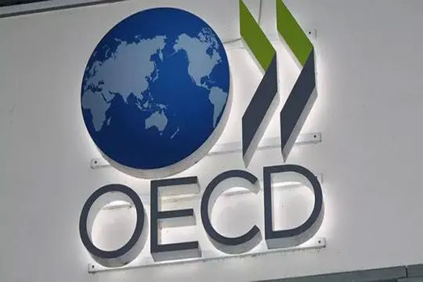 OECD国家年度房价涨幅达9.4%，为30年来最快增速