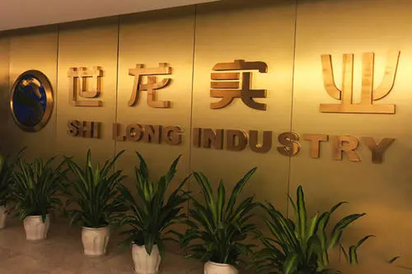 世龙实业召开2021股东大会，通过罢免刘宜云董事职务的议案