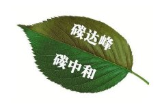 国家提出“碳达峰”、“碳中和”目标，ESG投资愈发受到市场重视
