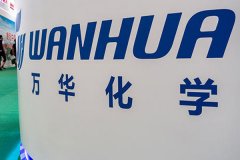 万华化学披露三季报，期末持股市值达到30.51亿元