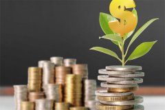 鹏华酒基金发布暂停大额申购，白酒板块初大幅下降高达20%