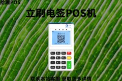 适合个人养卡提额选择大pos机还是电签版pos机